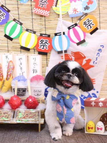 20240723たいがくん